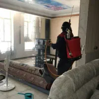 موریانه زدایی اصولی و سمپاشی کامل ساس باضمانت کتبی|خدمات نظافت|شوش, |دیوار