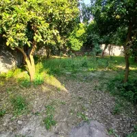 زمینی-به-مساحت-350-متر-اوشیان