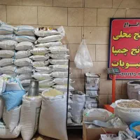 برنج محلی لری