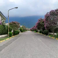 فروش-زمین-با-جواز-شهرک-نمک-آبرود