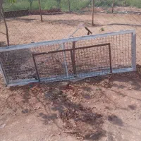 اطاق طوری پیکانوانت یک ماه درست کردم محکم بادوام