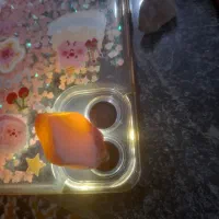 پنکه.رو.زمینی