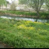آکواریوم بزرگ