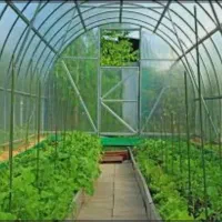 پلی کربنات بهبهان|خدمات پیشه و مهارت|بهبهان, |دیوار