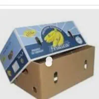 تعدادی کارتن موز برای اسباب کشی گرفته بودم