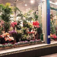 ۲۴۵ متر تجاری در محدوده برج یادمان ازادگان