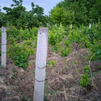 پایه مو، پایه فنس، پُل، ایرانیت و سازه های بتنی