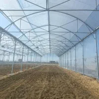 مشاوره و ساخت گلخانه های صنعتی|خدمات پیشه و مهارت|اراک, |دیوار