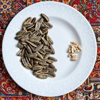 تخمه آفتابگردان در انواع طعم