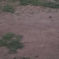 زمین-فروشی-روستای-هادی-اباد