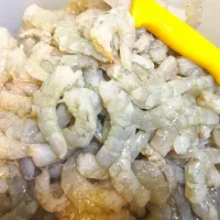 انواع ماهی و میگو جنوب بندرعباس|ماهی|خاوران, |دیوار