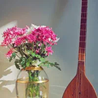 ساز ستار اورجینال