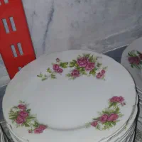 ظروف گلسرخ گل سرخ گلسرخی گل سرخی|ظروف سرو و پذیرایی|قم, باجک دو|دیوار