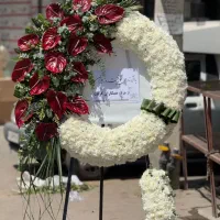 تزیین کار حرفه ای داخل بازار گل|استخدام بازاریابی و فروش|تهران, آهنگ|دیوار