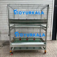 راندمان*پرورش اکبرجوجه ای با قفس|لوازم جانبی حیوانات|قائم‌شهر, |دیوار