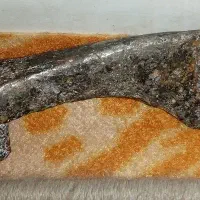 شاقول گنج یابی قدیمی و میخ فولادی قجری|کلکسیون اشیاء عتیقه|کاشمر, |دیوار