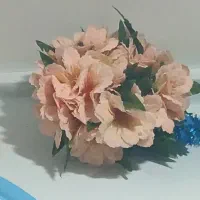 خانه باغ روزانه