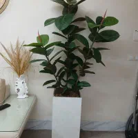 گل مصنوعی جنس خارجی