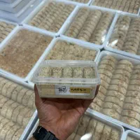 محصولات کنجدی ارده حلوا شکری شیره