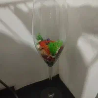 دوعدد گلدون