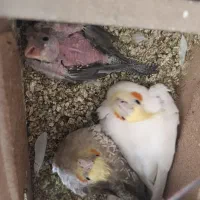 نگهداری و خرید و فروش