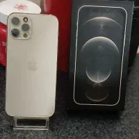 آیفون 12 پرو گلد 256|موبایل|مشهد, احمدآباد|دیوار