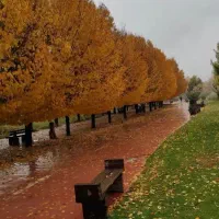 اجاره مغازه صدرا/ بلوار دانش