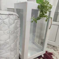 بوفه
