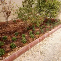 خدمات باغبانی درخت کاری سم پاشی گل کاری