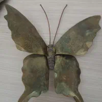 فروش سه عدد پروانه