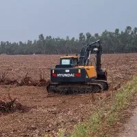 اجاره بیل مکانیکی