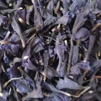 گل گاوزبان درجه یک