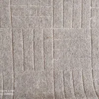 موکت تمیز ونو