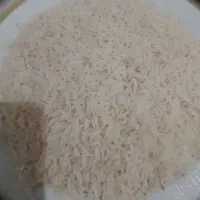 شاه طلای گیلان شاه برنج هاشمی