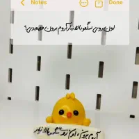 روداشبوردی جوجه