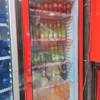 سالن و یک کمک اشپز ماهر