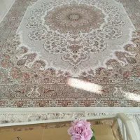 فرش ۷۰۰ شانه دست بافت گونه بسیار نرم و سنگین وزیبا|فرش|سنندج, |دیوار