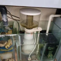اکواریو اب شور