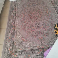 فرش آشپزخانه|فرش|بیرجند, |دیوار