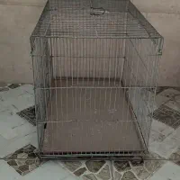 پرنده