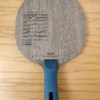 چوب و رویه ژیوم|ورزش‌های توپی|بناب, |دیوار