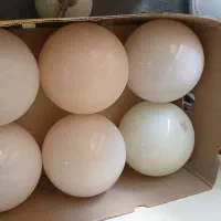 لوستر قدیمی|لوستر و چراغ آویز|اصفهان, شهرک کاوه|دیوار