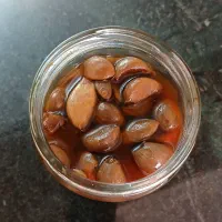 ترشی سیر ۱۰ ساله|خوردنی و آشامیدنی|تربت‌حیدریه, شهرک ولیعصر|دیوار