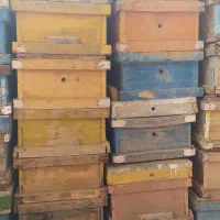 کندوی زنبور