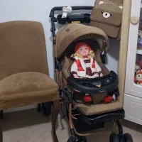 کالسکه تاشو دلیجان|کالسکه و لوازم جانبی|کازرون, |دیوار