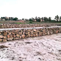 دو عدد زمین مالچیه سفله 250 متری