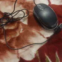 فروش موس