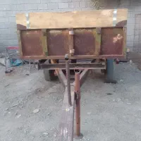 تریلی و دیکس