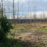 زمین-مسکونی-100متر-در-نوخاله-اکبری