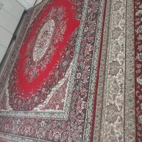 قالی
